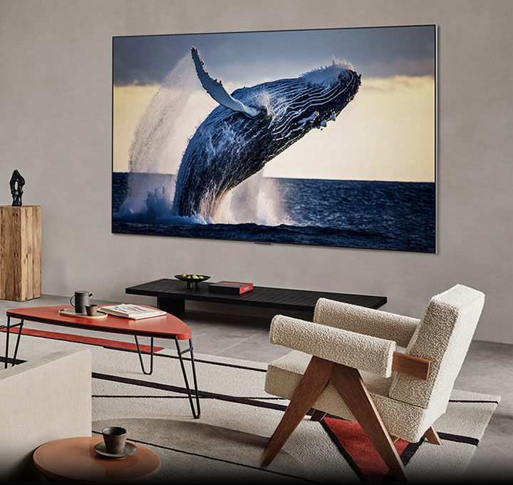 Living room with a TV mounted on the wall. Screen shows a high quality image of a whale leaping out of the water.