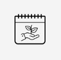 Report (frequent, monthly, quarterly, annually)