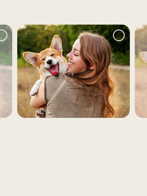 LG TV video shows users selecting preferred sample images, illustrating AI Picture Wizard personalized picture setup.