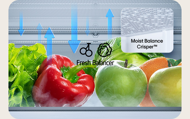 LG bottom freezer (GBBS726CEV) Fresh Balancer storing lettuce bell pepper orange and apples with arrows up and down and Moist Balance Crisper close up	