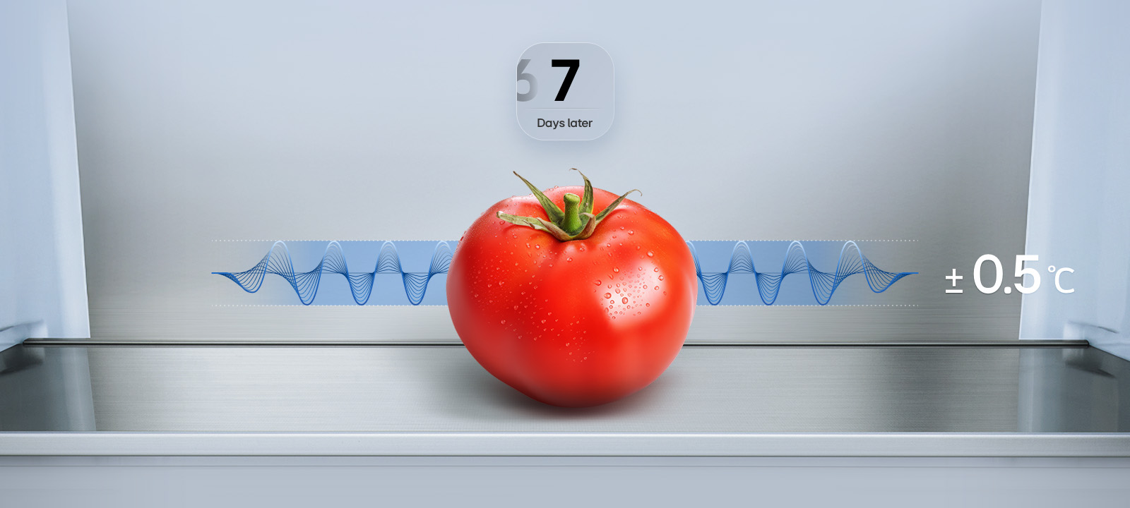 LG fridge freezer (GBBS726CEV) graphic showing fresh tomato after 7 days with blue fluctuation graph and text ±0.5°C	