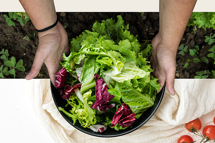 Hands holding a bowl of fresh mixed salad greens above a garden, with cherry tomatoes on a white cloth.