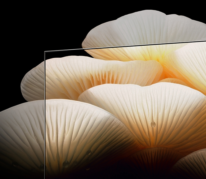 LG OLED Posé displays an image of bright, clear white mushrooms that extends past the TV’s frame.	
