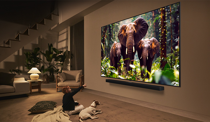 A girl and a dog are seated in front of a LG QNED TV mounted on a wall depicting three elephants walking outwards above a LG Soundbar. 	