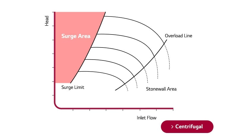 A graph plots Head on the Y-axis against Inlet Flow on the X-axis. Five vertical arch lines intersected by two lines, with a red surge area indicated.