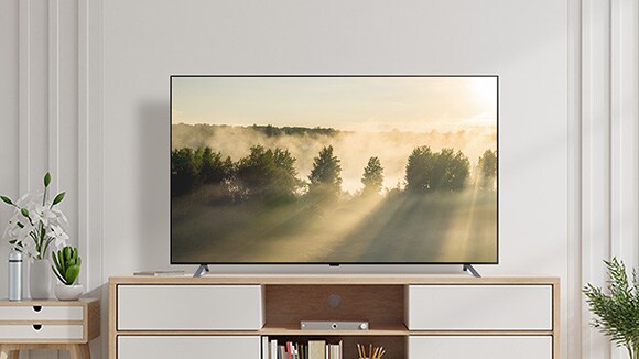 صورة يظهر بها OLED A2 من إل جي في غرفة بيضاء ناصعة مع تفاصيل خشبية ومساحات خضراء