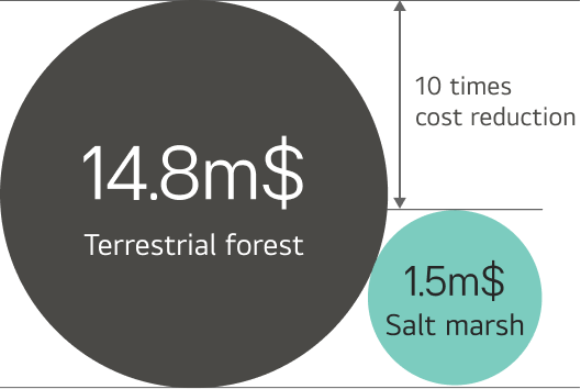 A bubble chart comparing afforestation cost per unit area (1 km²) between salt marsh and terrestrial forest.Terrestrial forest costs 21.5 billion KRW and salt marsh costs 2.2 billion KRW, showing that salt marsh afforestation is approximately 10 times more cost-effective than terrestrial forest.