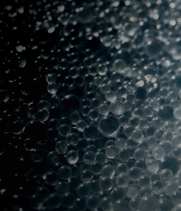 A close-up of Marine Restoration Material beads that release targeted mineral ions to support the growth of microalgae and seaweed, contributing to biodiversity.